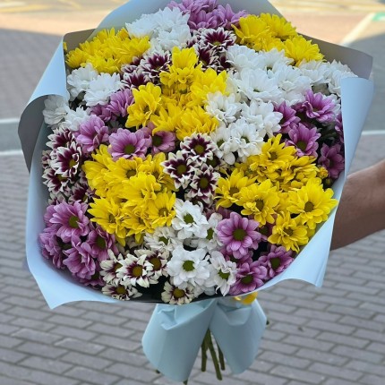 Букет из разноцветных хризантем - купить с доставкой в по Абакану